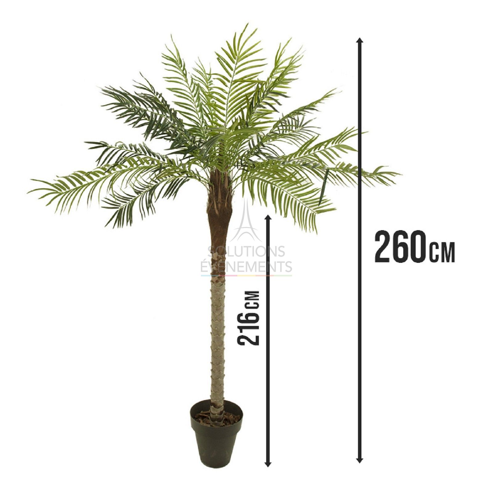 Decorative artificial palm tree rental - 260cm