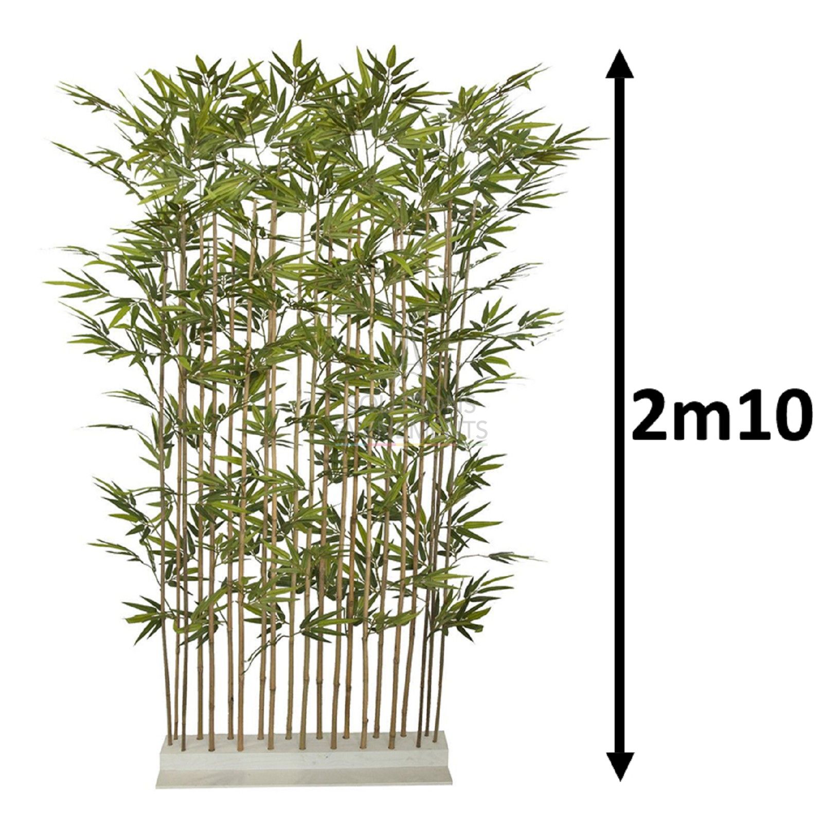 Location Haie Bambou 2m10 | Plante & Événement