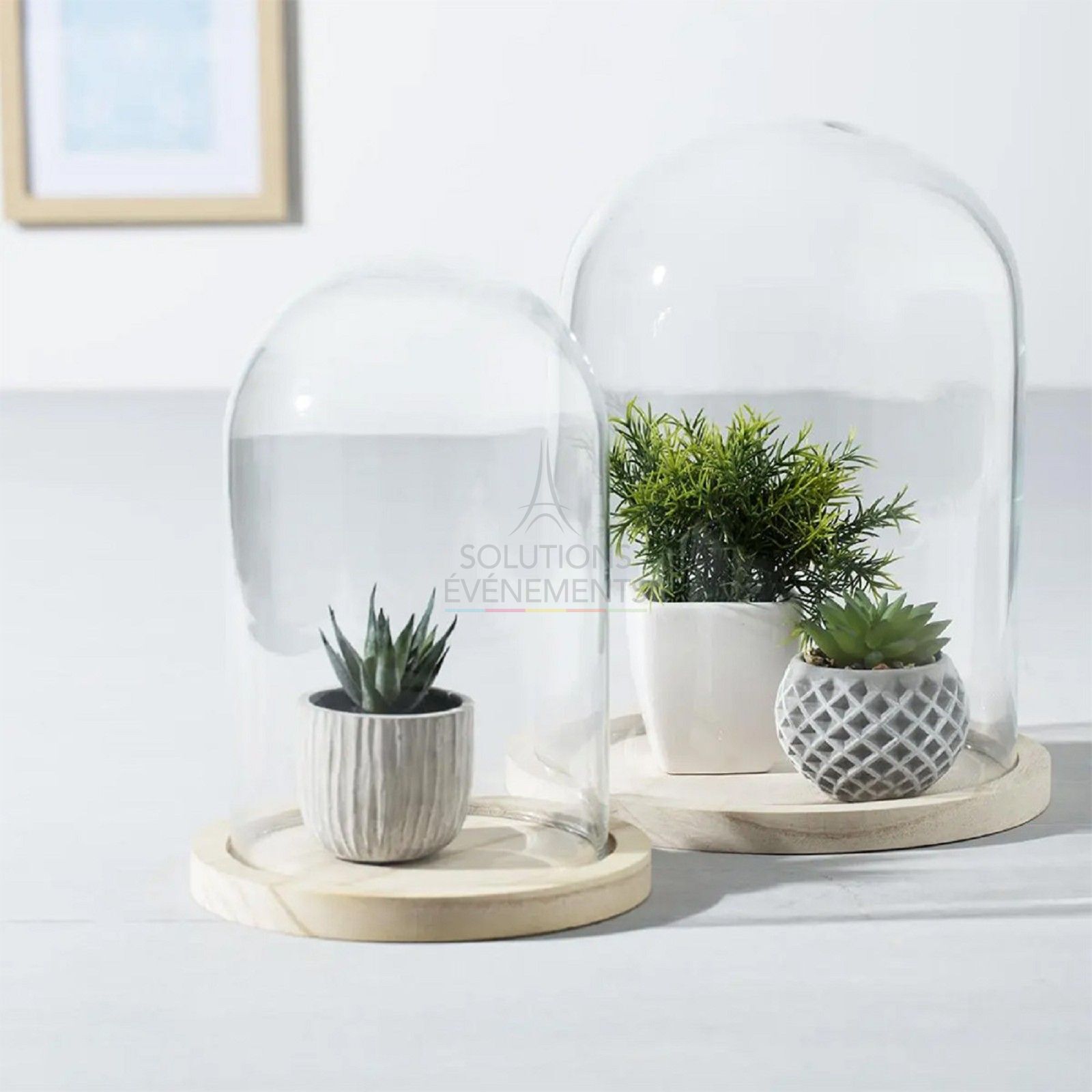 Cloche décorative socle bois - Visuel 2
