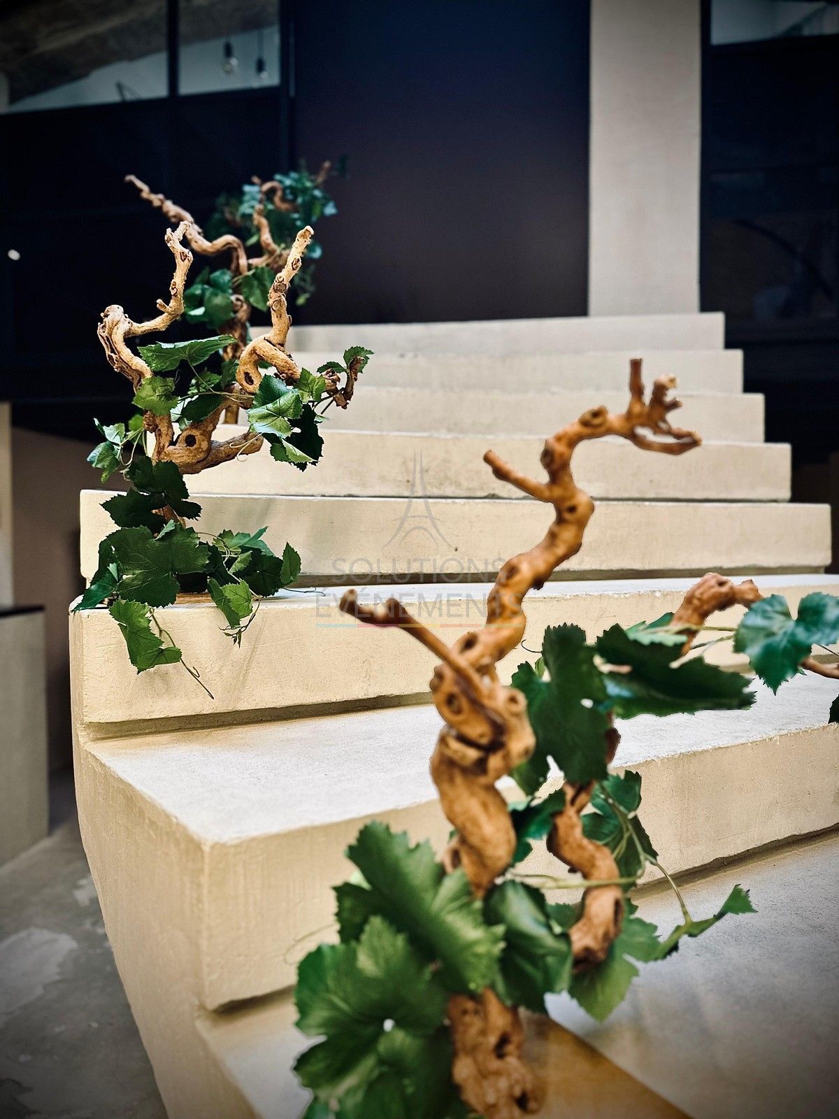 Decorative vine stock - Visual 2