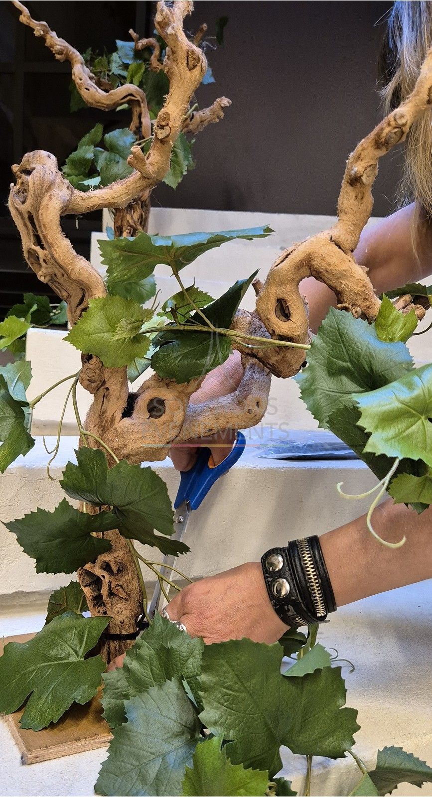 Decorative vine stock - Visual 3