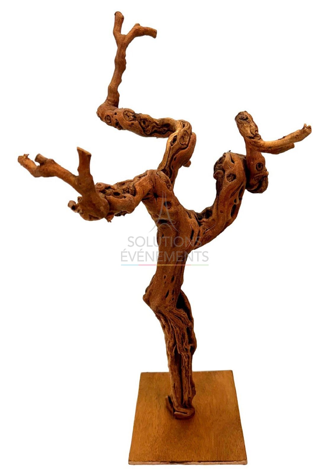 Rental of natural vine stock on base