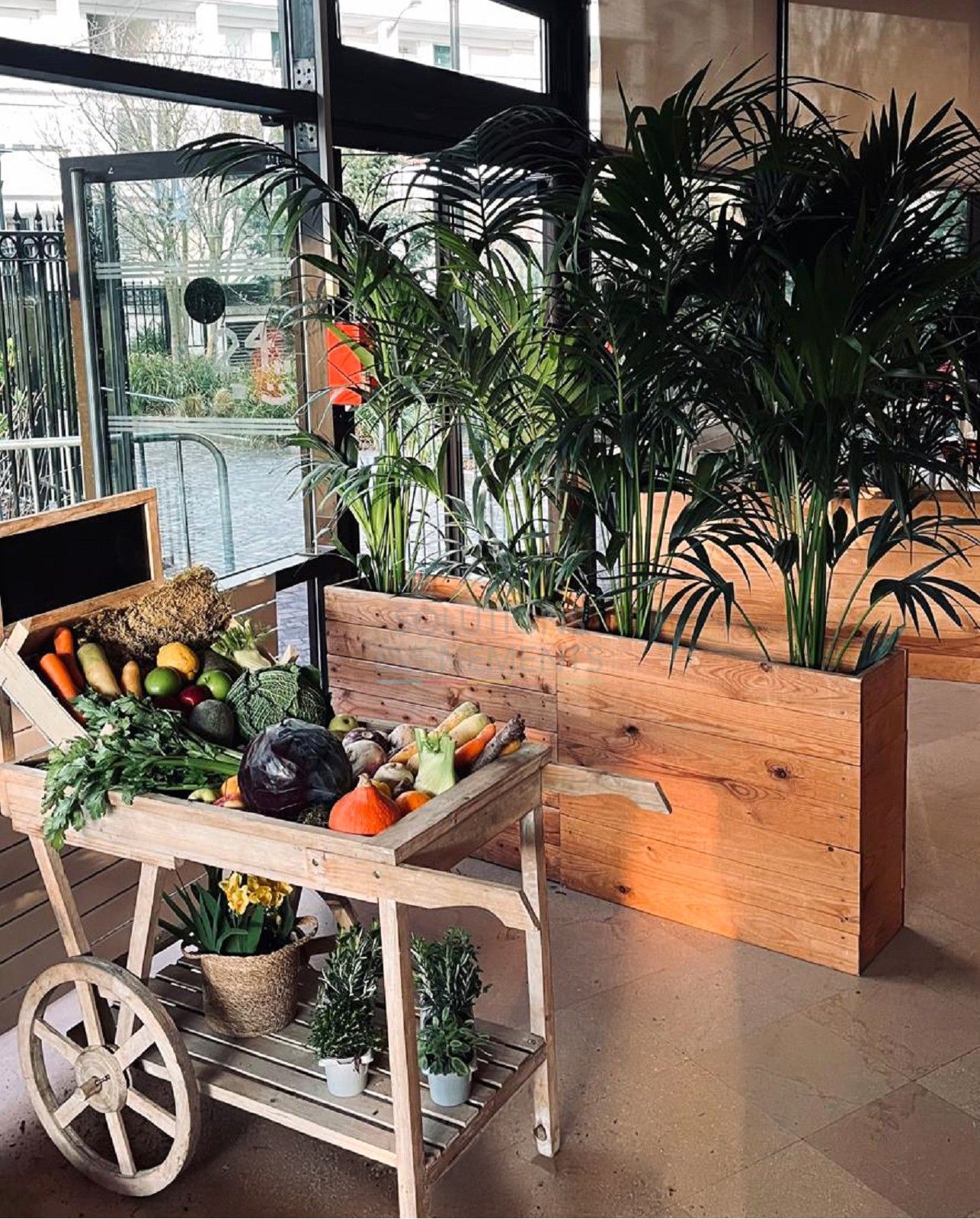 Epinal Planter - Visual 4