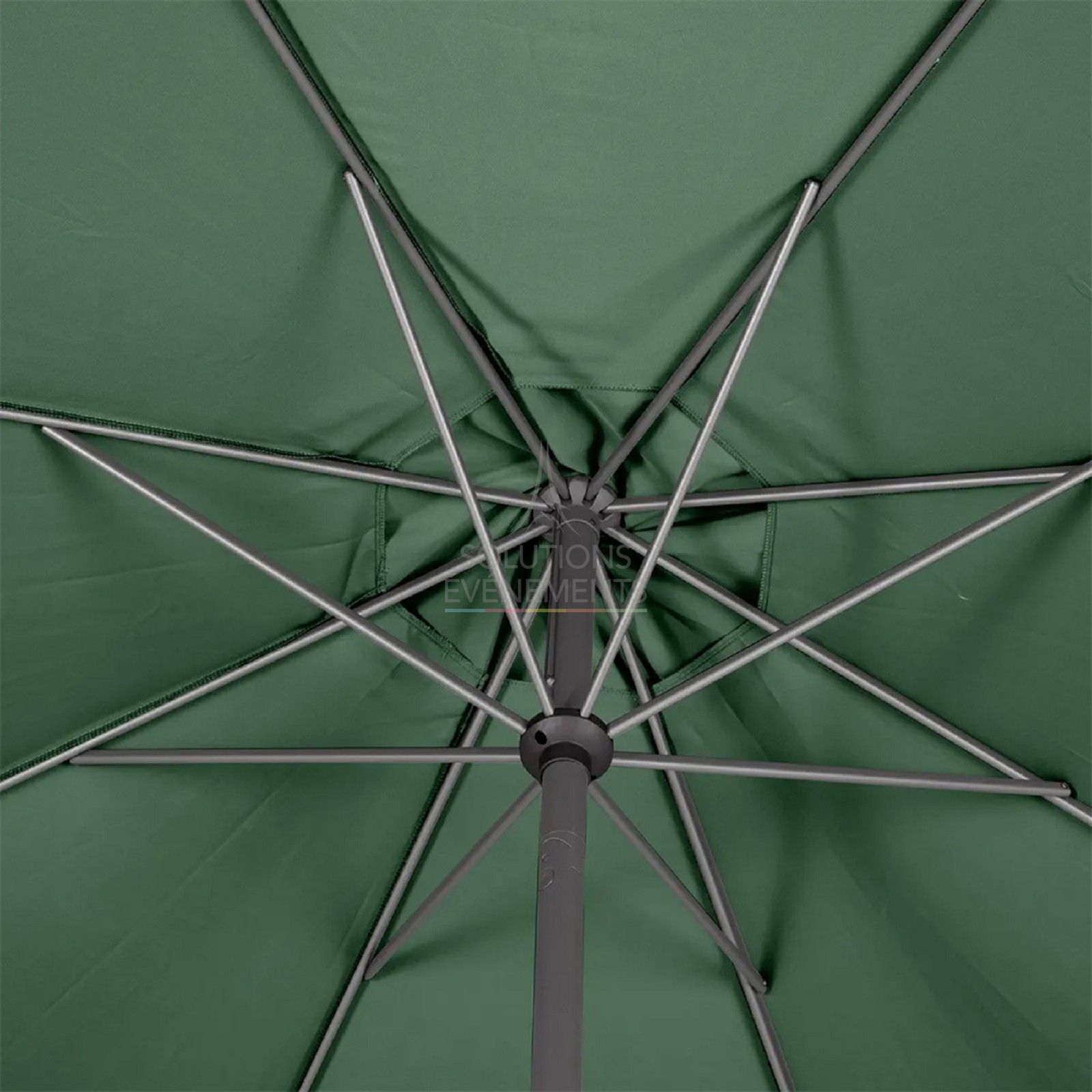 Fir green parasol - Visual 4