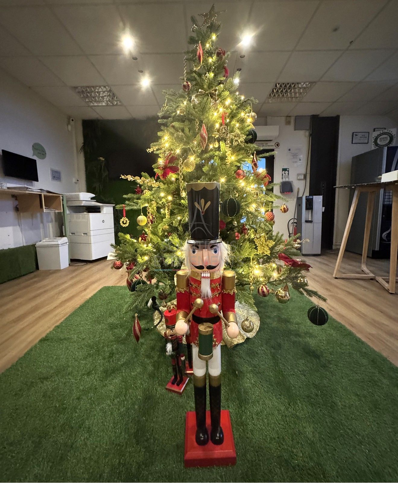 Grand casse-noisette  - Visuel 2