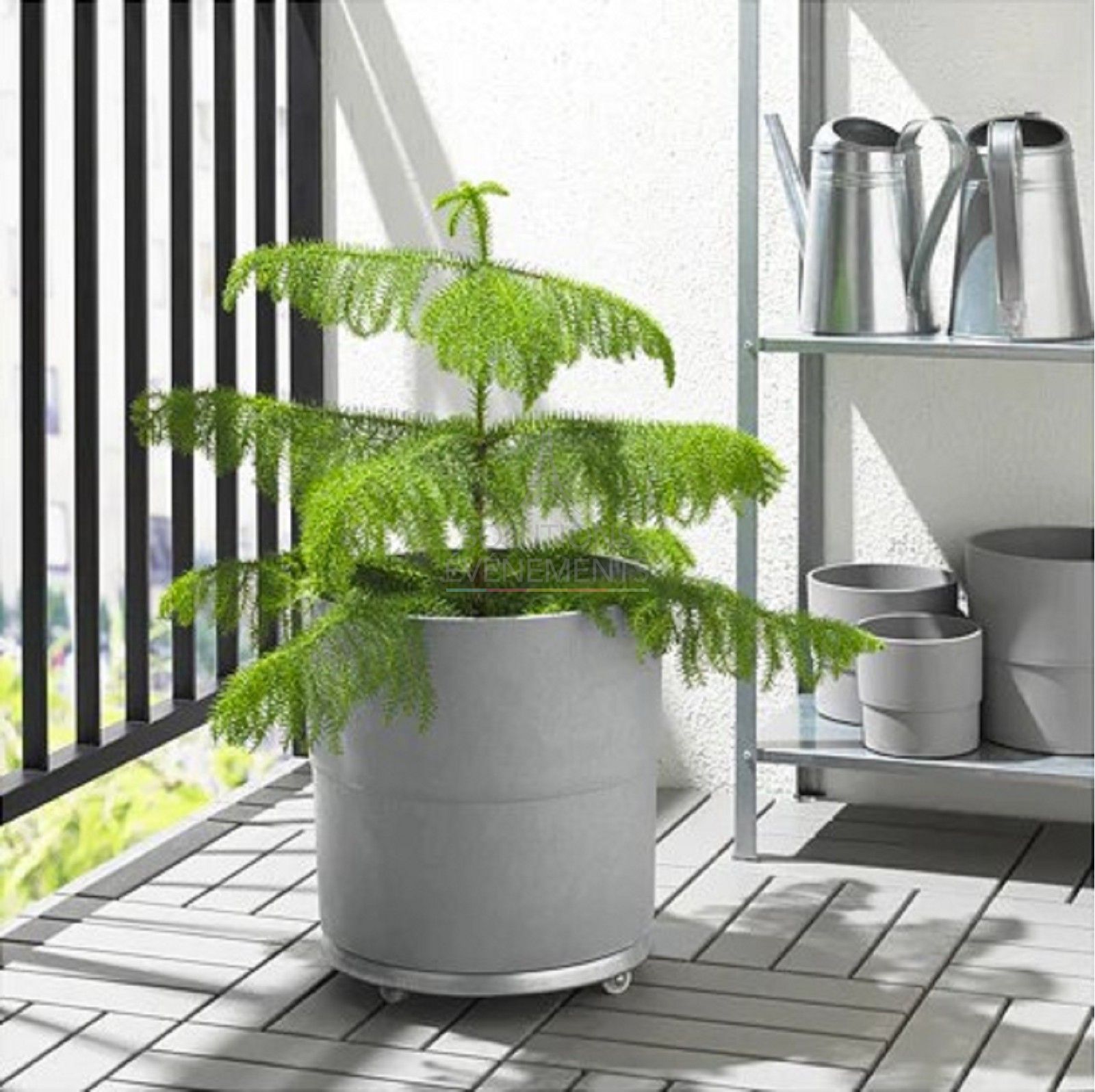 Gray Plant Pot - Visual 2