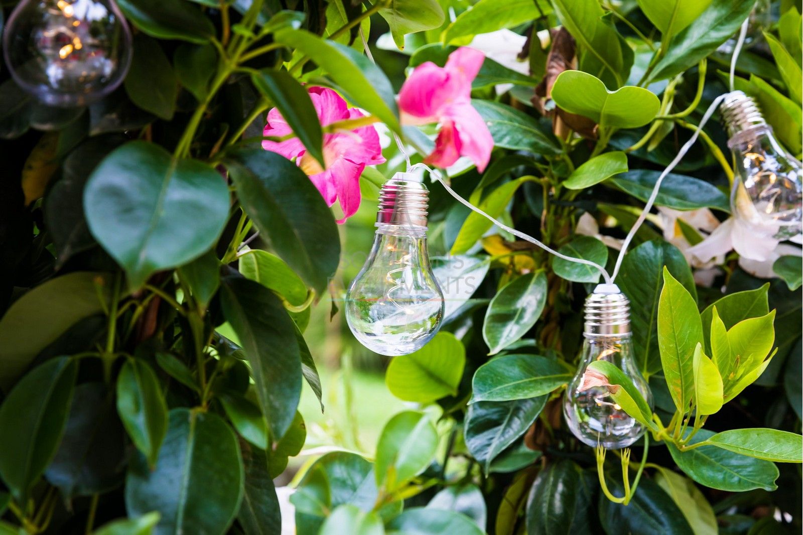 Guinguette light garland - Transparent - Visual 2