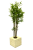 Senlis bamboo planter