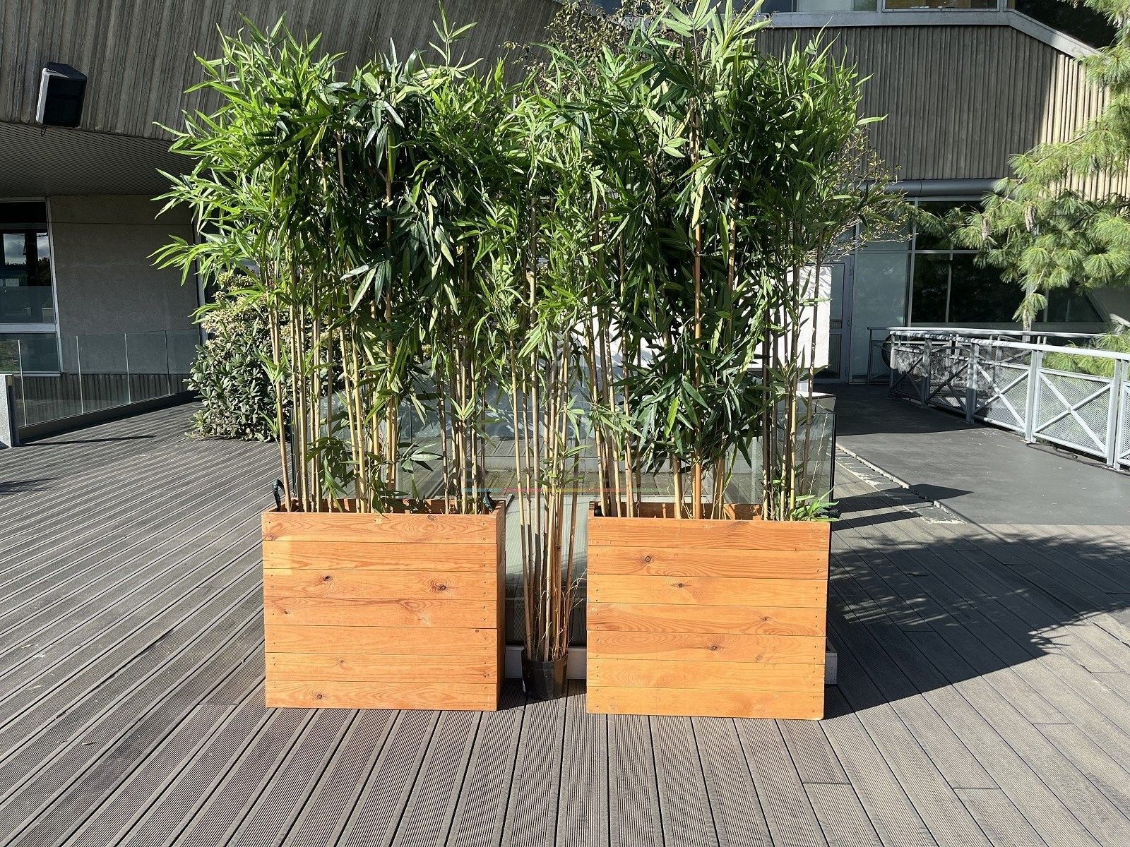 Jardinière Épinal et bambous - Visuel 3