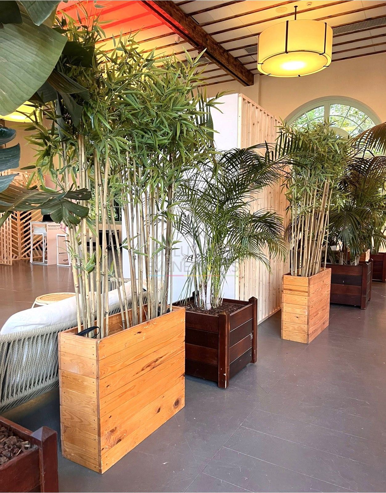 Jardinière Épinal et bambous - Visuel 4