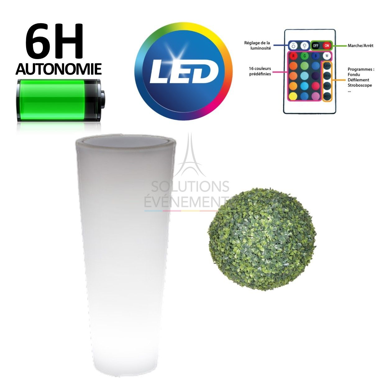 Rental of Luminous Pot with boxwood ball