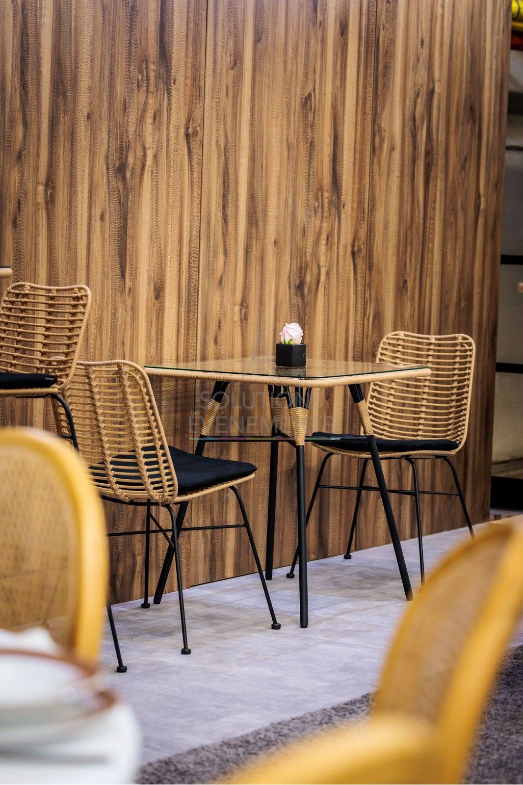 Palm Rattan Chair with cushion - Visual 2