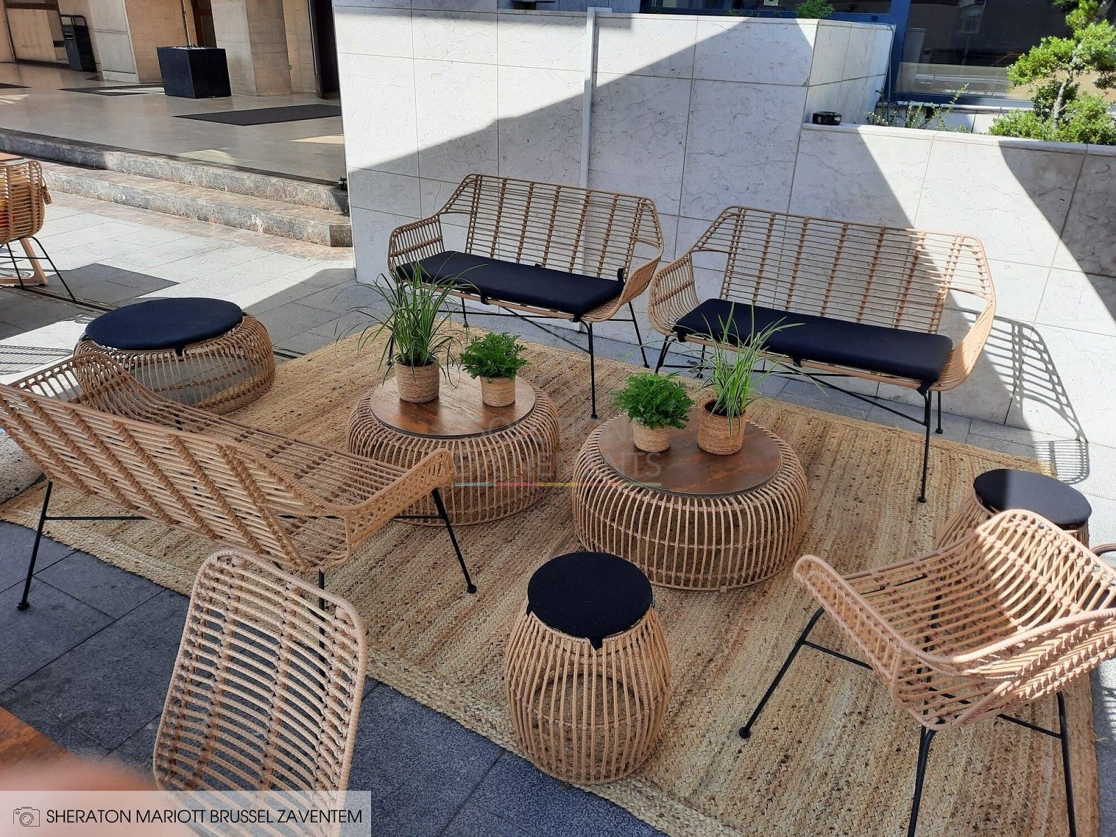 Palm Rattan Sofa / Bench with cushion - Visual 2