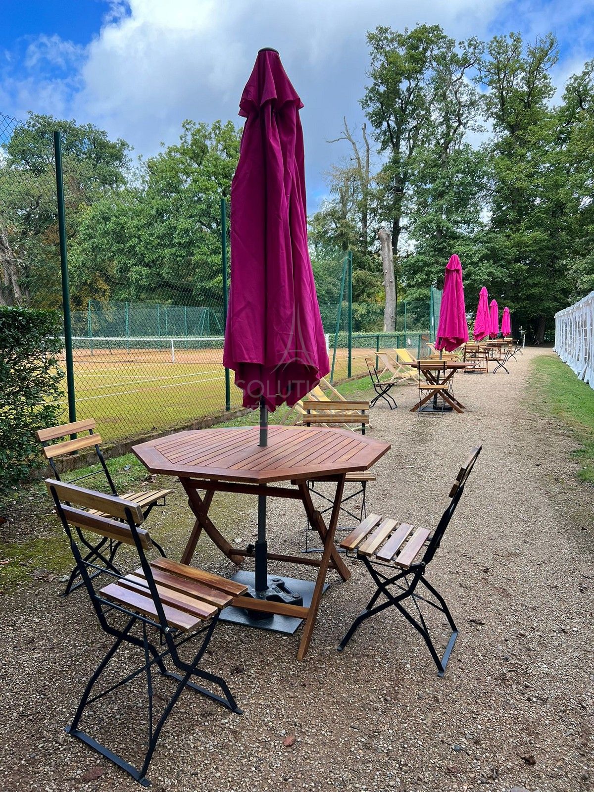 Pink parasol - Visual 6