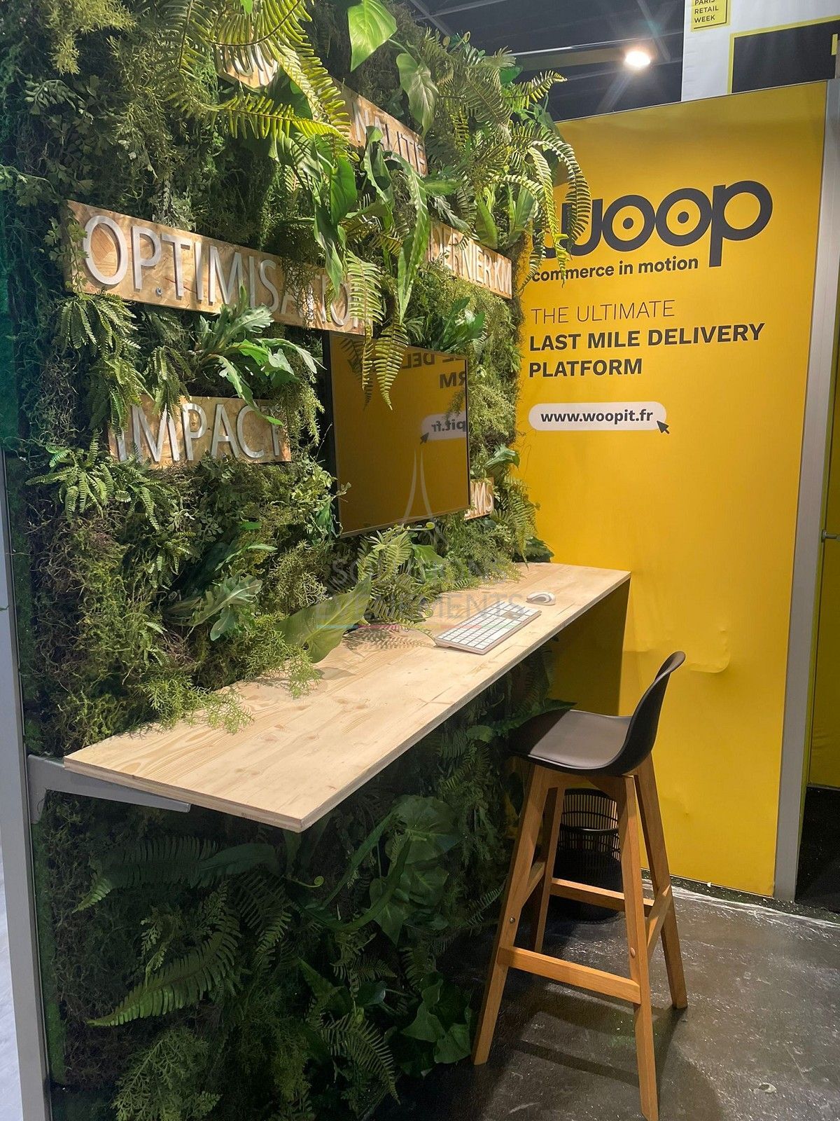 Plant Backdrop 8m00 x 3m00 - Visual 3