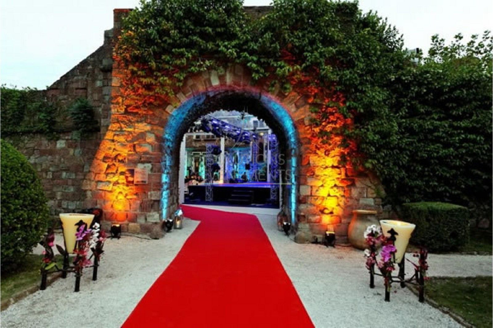 Red carpet - Width 50 centimeters - Visual 3