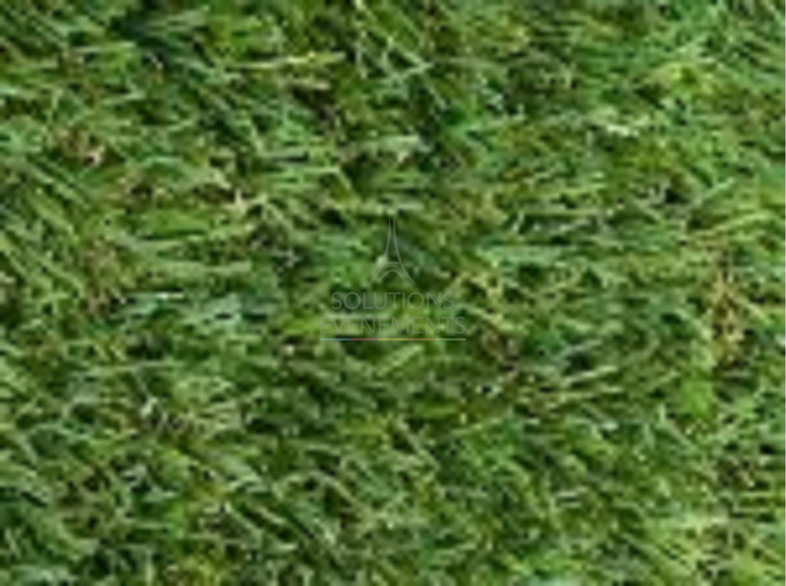 Roll of fireproof artificial grass 2x10m - Visual 4