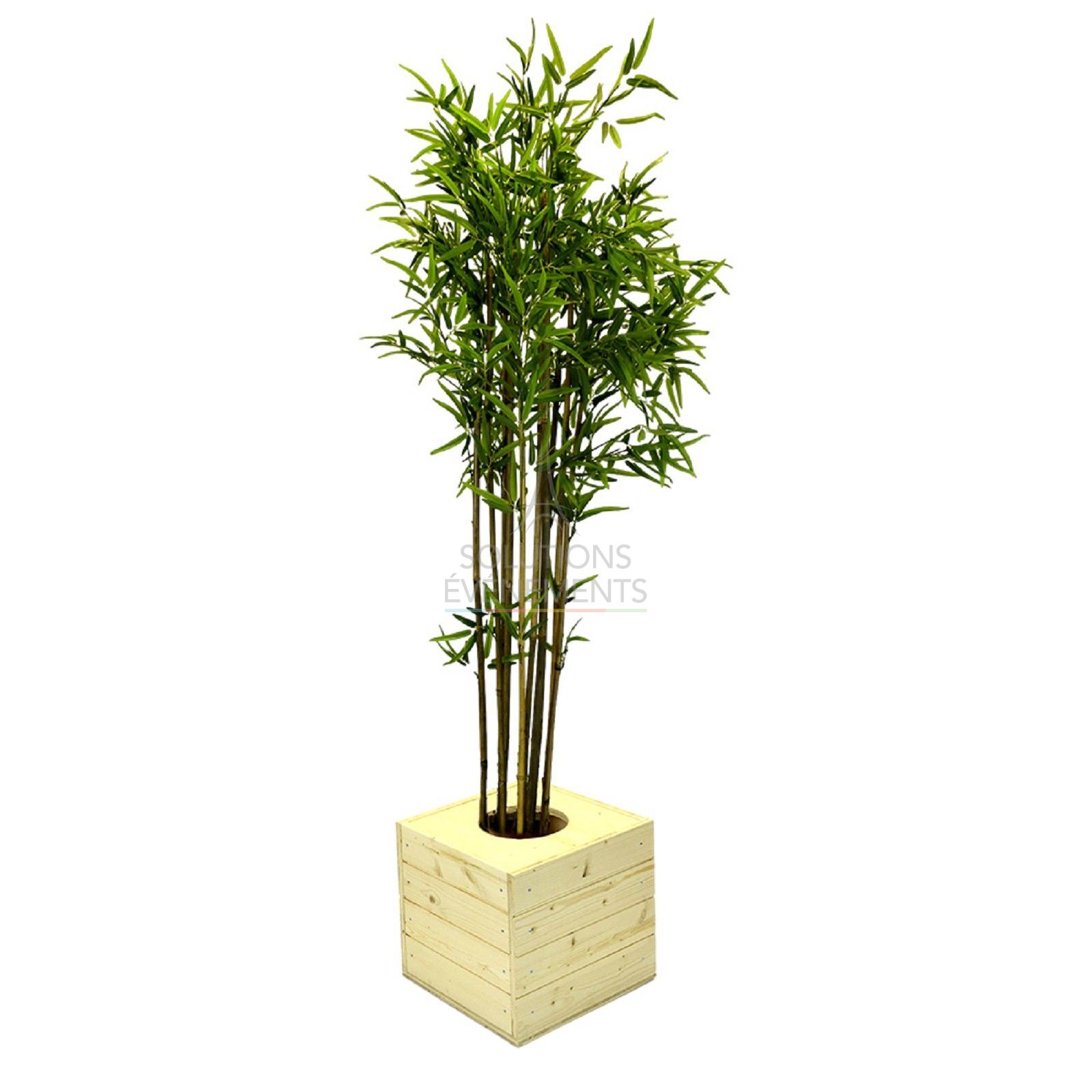 Rental of eco-responsible bamboo wooden planter for decoration