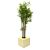 Rental of eco-responsible bamboo wooden planter for decoration