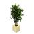Rental of eco-responsible lemon tree wooden planter for decoration