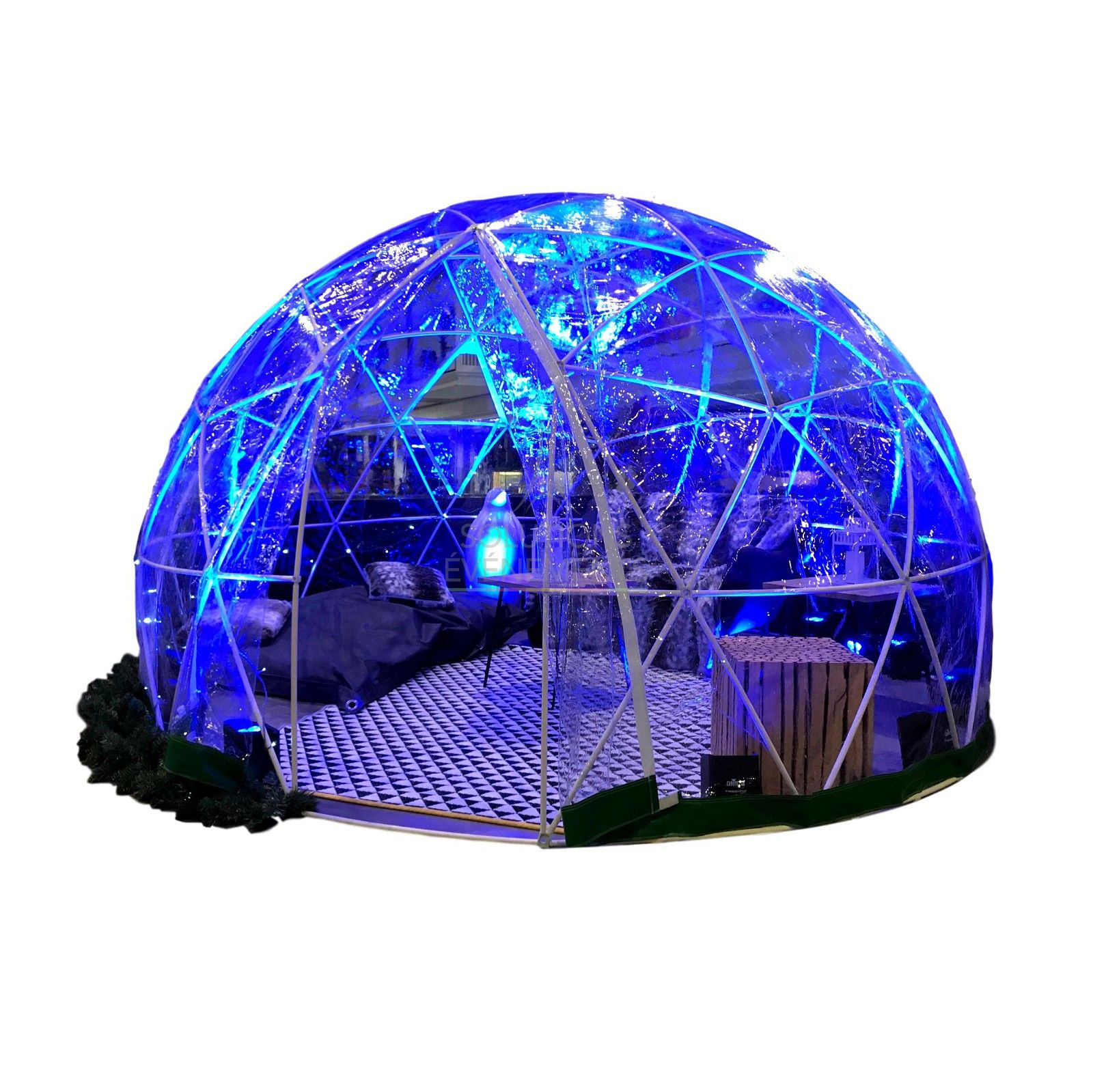 Igloo tent rental